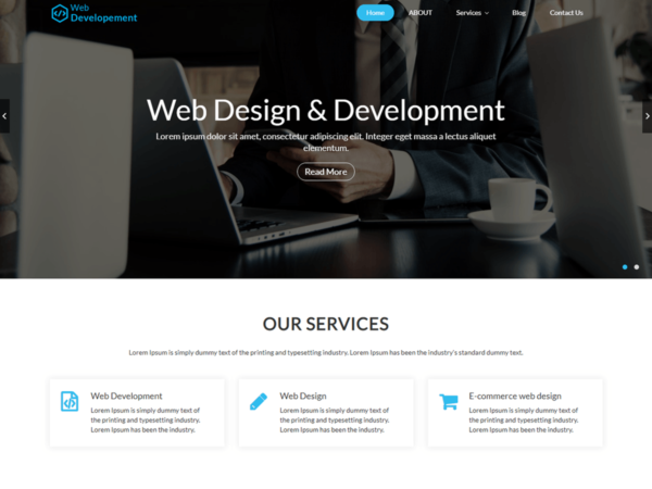 Web Development WordPress Theme