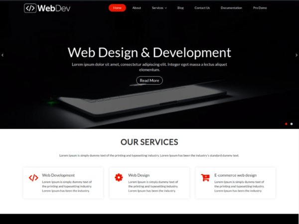 Web Development WordPress Theme - Image 3