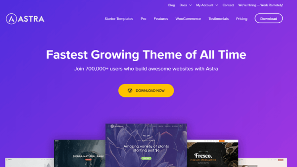 Astra WordPress Theme