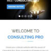 Consulting